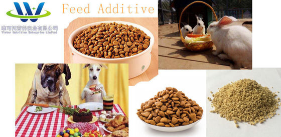 Grau de alimento para animais L-Lisina 56-87-1 com certificação CCC de aminoácido profissional
