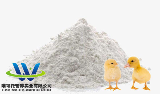 Cloridrato de L-lisina CAS n.o 657-27-2 Grau de alimento para animais