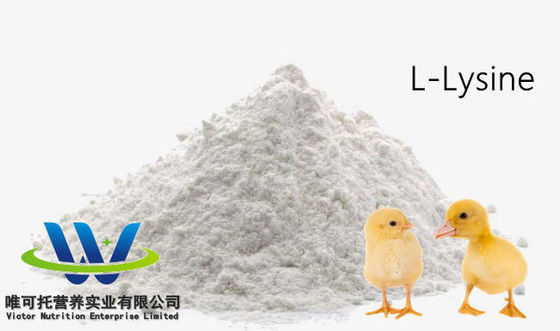 Grau de aditivos para alimentos para animais Sulfato de HCl L-lisina 98,5% 70% Grau de aditivos para alimentos para animais para pedido personalizado