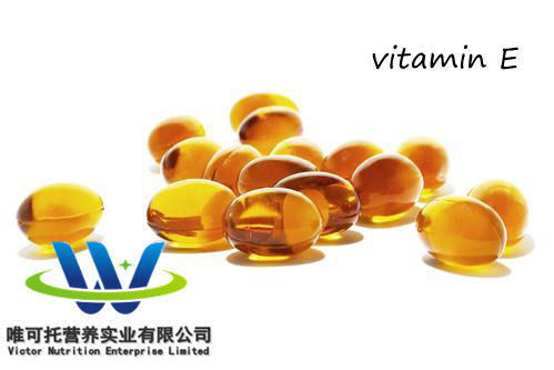 Óleo de Vitamina E Natural 98% Dl-Alfa-Tocopheryl Acetate Ve para composição nutricional