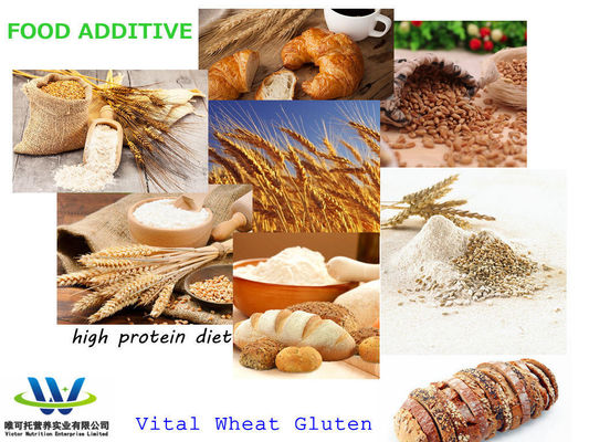 Alto teor de proteínas 82% farinha de glúten de trigo vital para a indústria de panificação EINECS 232-317-7
