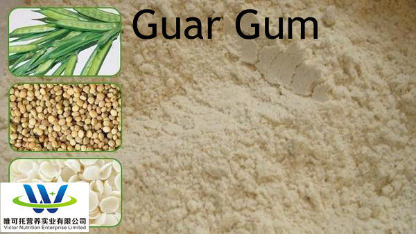 Principais ingredientes ativos Goma de guar para espessante de alimentos EINECS 232-536-8 CAS 9000-30-0