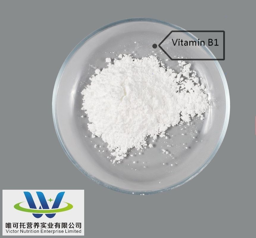 EINECS 208-537-4 CAS n.o 532-43-4 Cloridrato de tiamina Vitamina B1 67-03-8